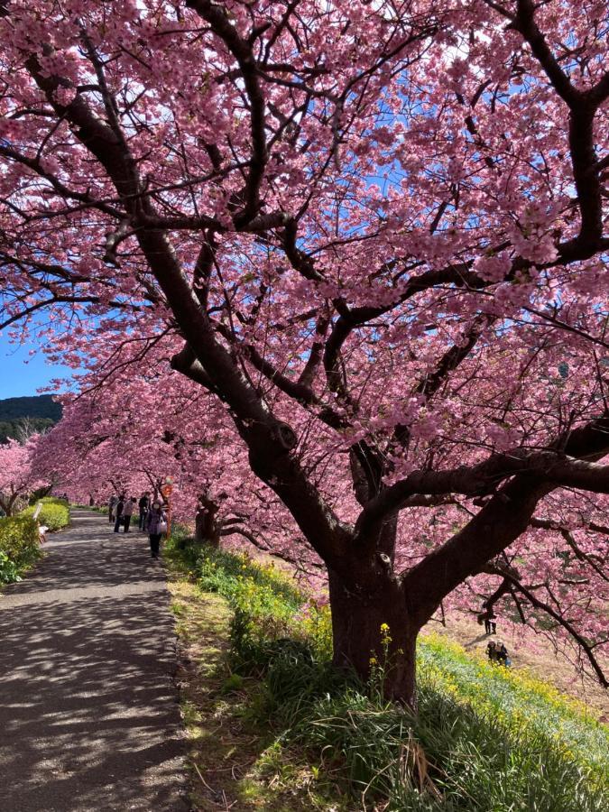 下田市旧南豆 Eksteriør billede
